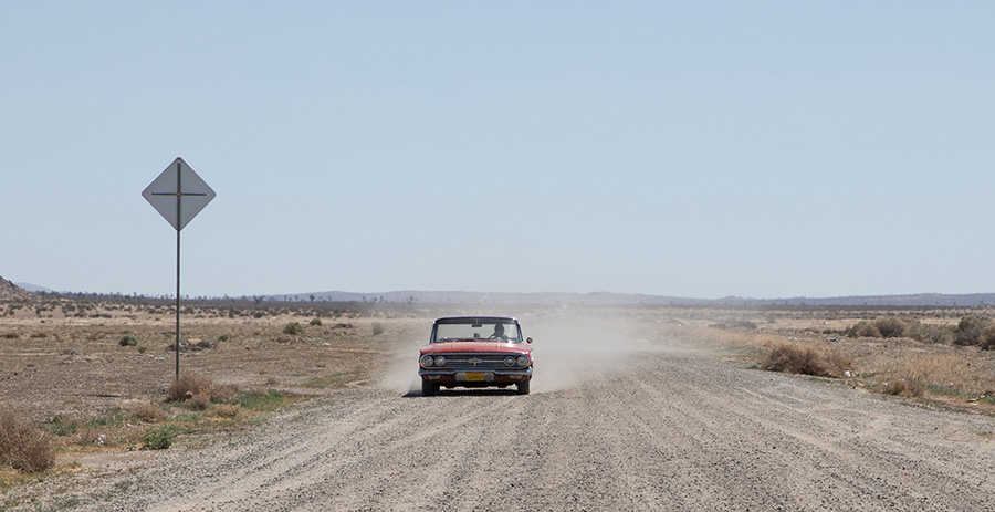 SERENGETI-04